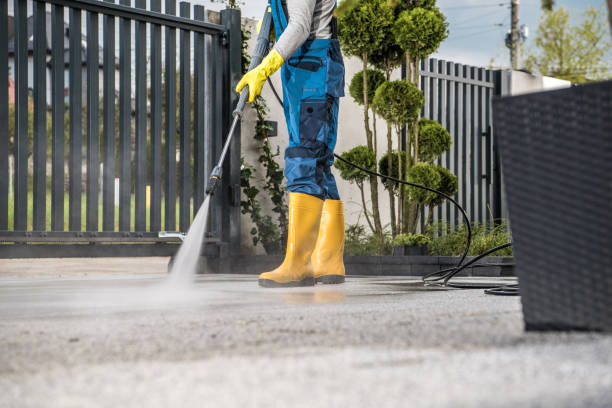Best Pressure Washing Company Near Me  in Ridge Manor, FL