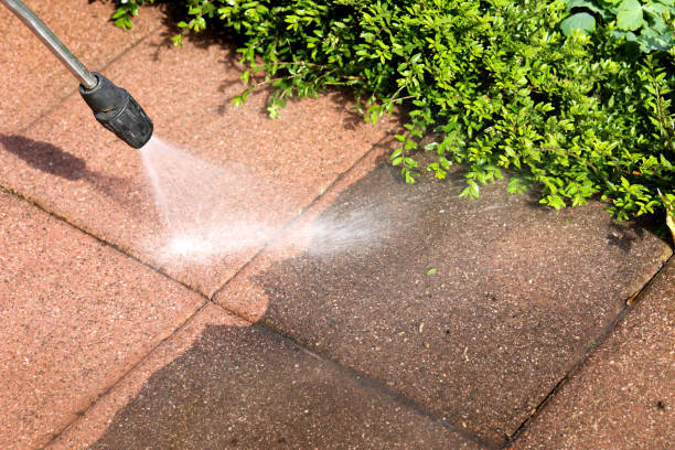 Best Best Pressure Washing Companies  in Ridge Manor, FL